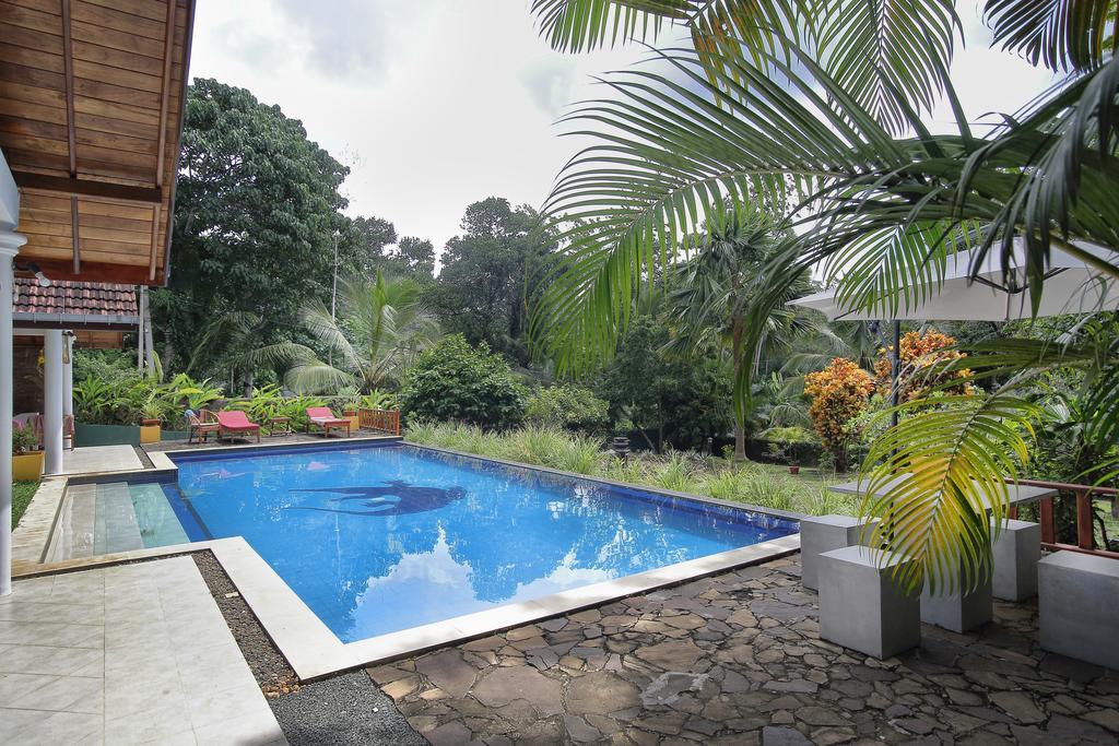 Lazy Lizard Hotel 高尔 外观 照片